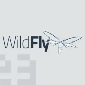 Wildfly
